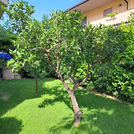 Daphne Experience - By Interhome Сasa de vacaciones *
